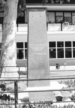 Partizanski spomenik u Pitomači