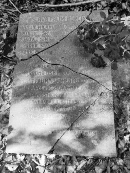 Partizansko groblje u šumi Zdenčina